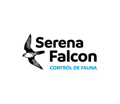 Página Web