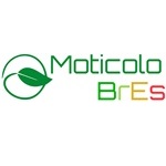 Logo Moticolobres